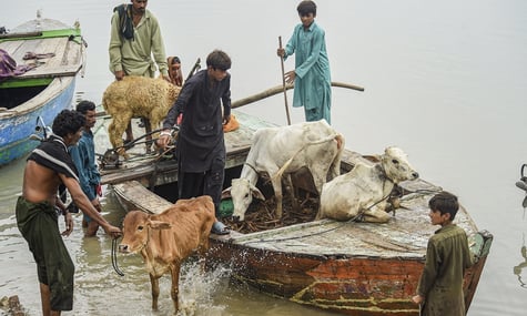 Пакистанські фермери звинувачують компанії у Німеччині в забрудненні довкілля й вимагають компенсації