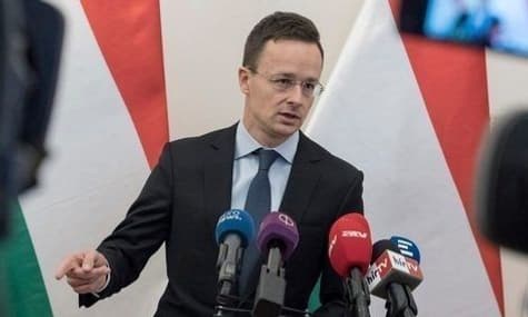 Глава МЗС Угорщини не бачить проблеми в агітації угорців на Закарпатті