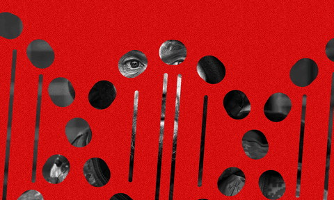 «До сьогодні виявляються збіги з тілами часів АТО/ООС». Як в Україні відбувається ДНК-експертиза