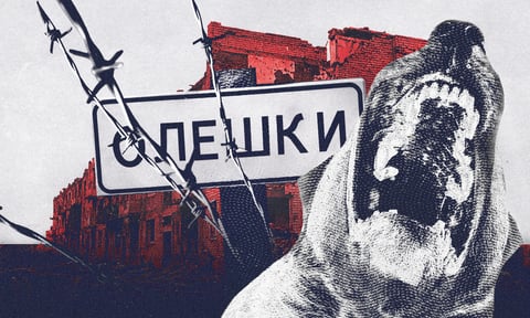 «Труять собак, щоб ті не мучилися»: як виживають окуповані Олешки, куди з травня не завозять їжу