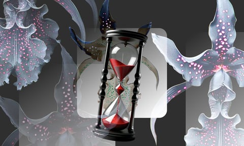 Страшне слово «клімакс». Чи справді менопауза помолодшала, як пережити цей період та чому це не кінець життя