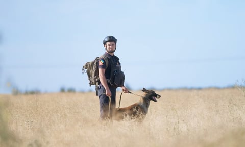 «Собака працює швидше, ніж людина з металошукачем». Як розміновують Миколаївщину