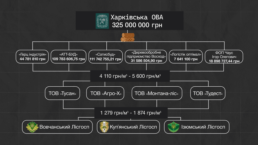 Маєток на фортифікаціях: Lexus, будинок за $1 млн і бізнес в окупації_5