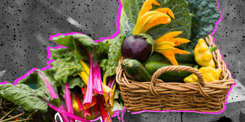 Картопля та яблука: чи матимемо свої, чи доведеться завозити. Про перспективи врожаю і проблеми аграріїв — в інтервʼю із заступником міністра