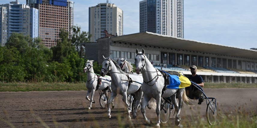 Коні та люди. Яка доля чекає на столичний іподром