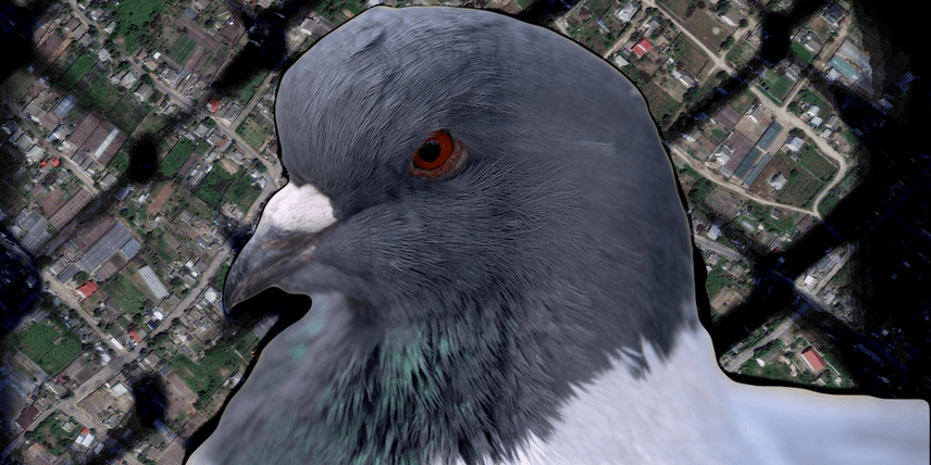 Їли голубів і собачу кашу, билися в чергах по продукти, падали від виснаження. Як виживають в окупованих Олешках