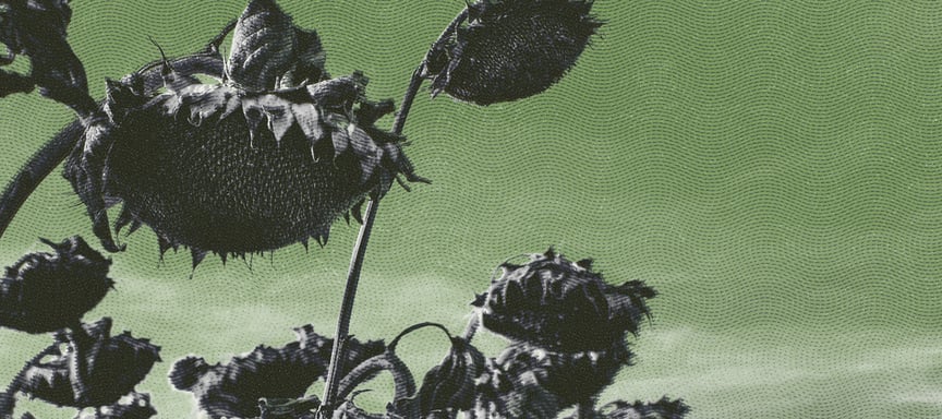 Прощавай, пенсіє? Скільки ще протримається Пенсійний фонд