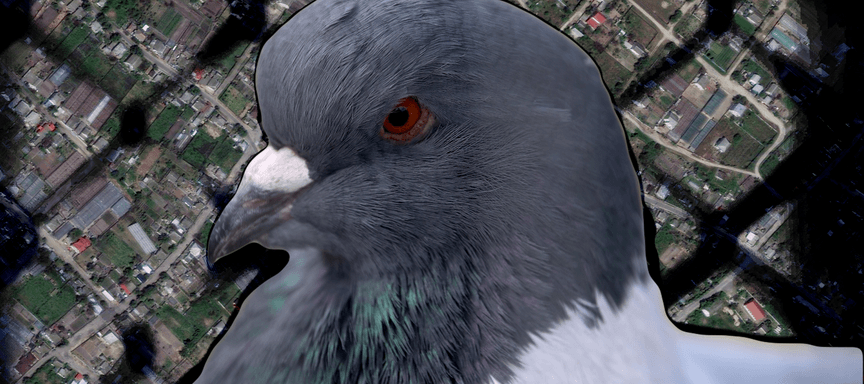 Їли голубів і собачу кашу, билися в чергах по продукти, падали від виснаження. Як виживають в окупованих Олешках