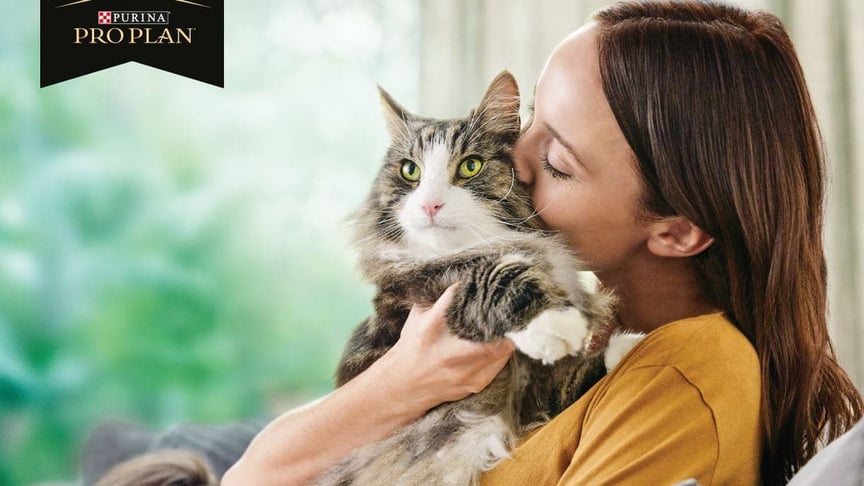 Nestlé Purina створили перший у світі корм, що безпечно зменшує рівень алергенів у котів