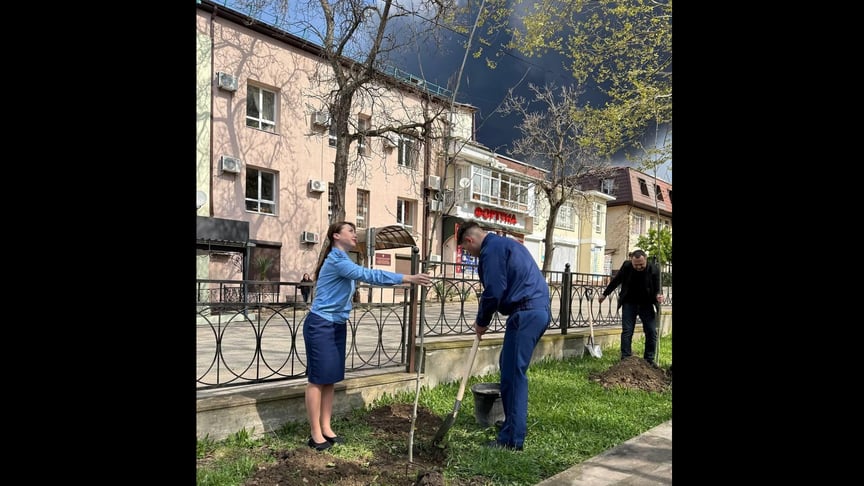 У Туапсе влаштували озеленення міста на тлі «нафтових дощів»