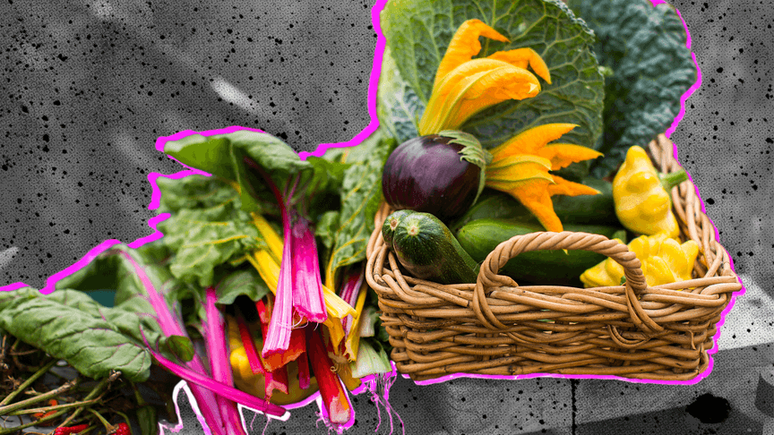 Картопля та яблука: чи матимемо свої, чи доведеться завозити. Про перспективи врожаю і проблеми аграріїв — в інтервʼю із заступником міністра