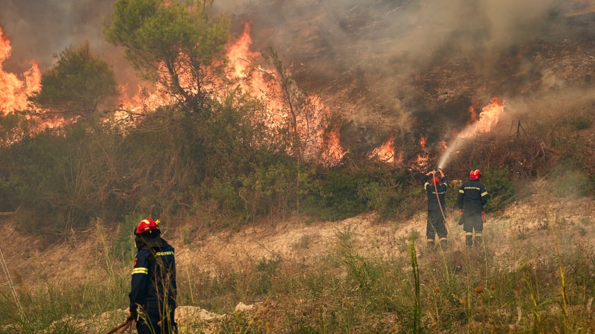 Пожежники гасять лісову пожежу поблизу селища Сівірі на півночі Греції, 13 серпня 2026 року