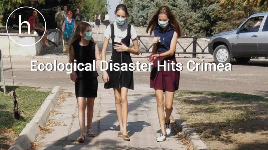 An Ecological Disaster Hits Crimea. We Take A Look At What Happened