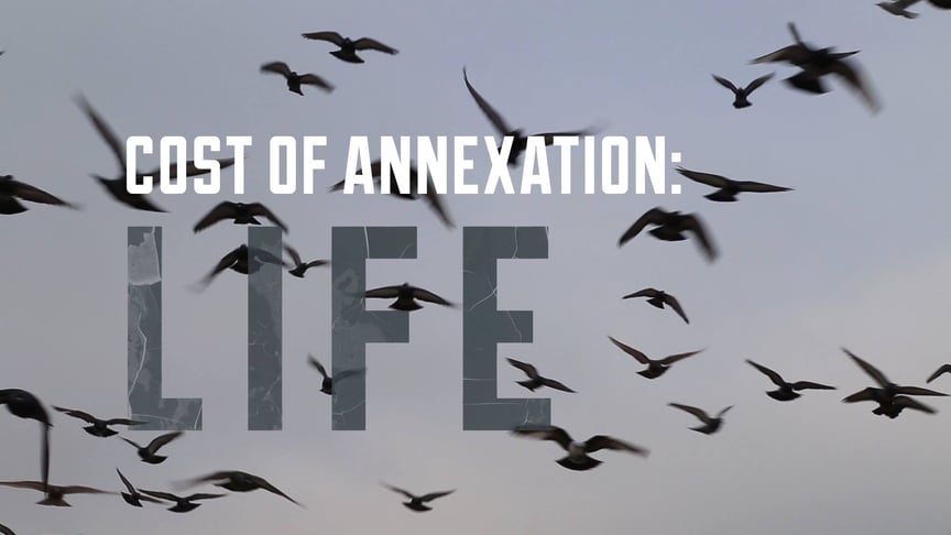 The Cost of Crimean Annexation is Life: Special Project