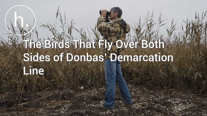The Birds That Fly Over Both Sides of Donbas’ Contact Line