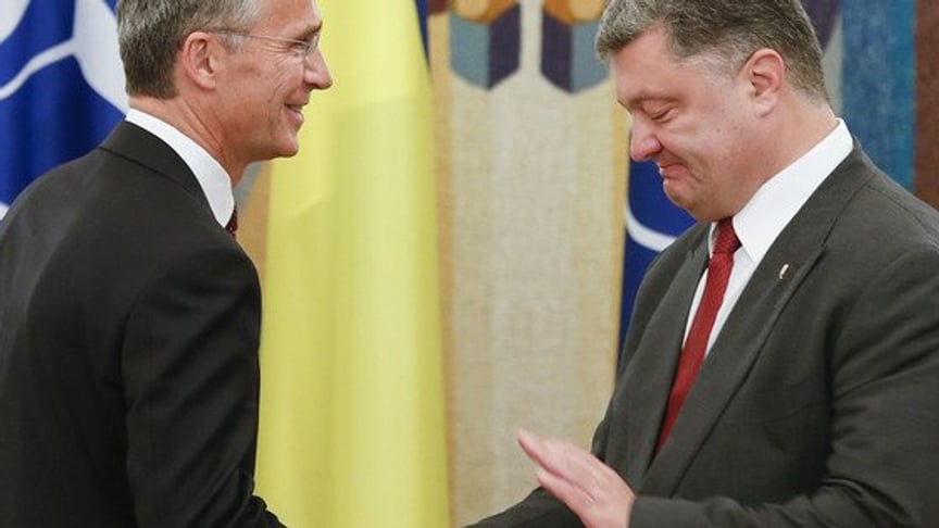 Ukraine Establishes Joining NATO As State Priority