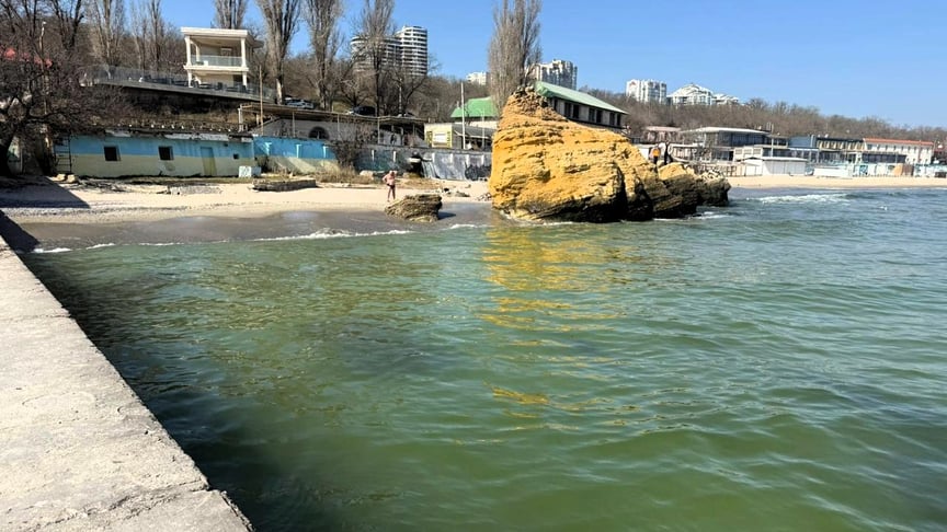 Забруднення Чорного моря