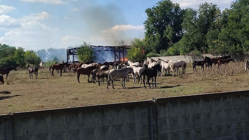 Пожежа на території Лозівського кінного заводу після російського удару, 18 вересня 2026 року