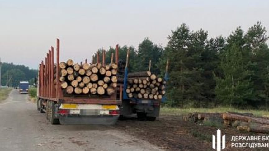 Разоблачение чиновников, которые пытались заработать на лесных пожарах в Луганской области