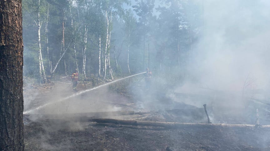 Пожежа у Чорнобильській зоні після падіння уламків російських БпЛА