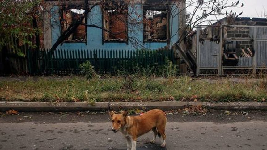 The Sunday Show: Escalating in Eastern Ukraine, Explained