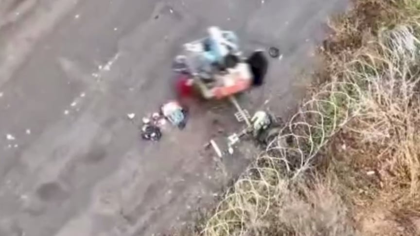 Погибшие люди и животное в результате удара россиян в Харьковской области