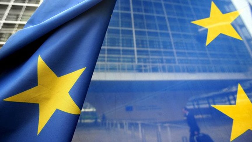 EU Delegation Head: Find Out Where Officials Got Their Money