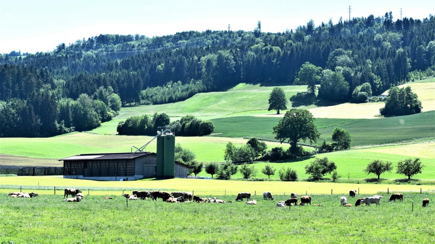 Ілюстративне фото