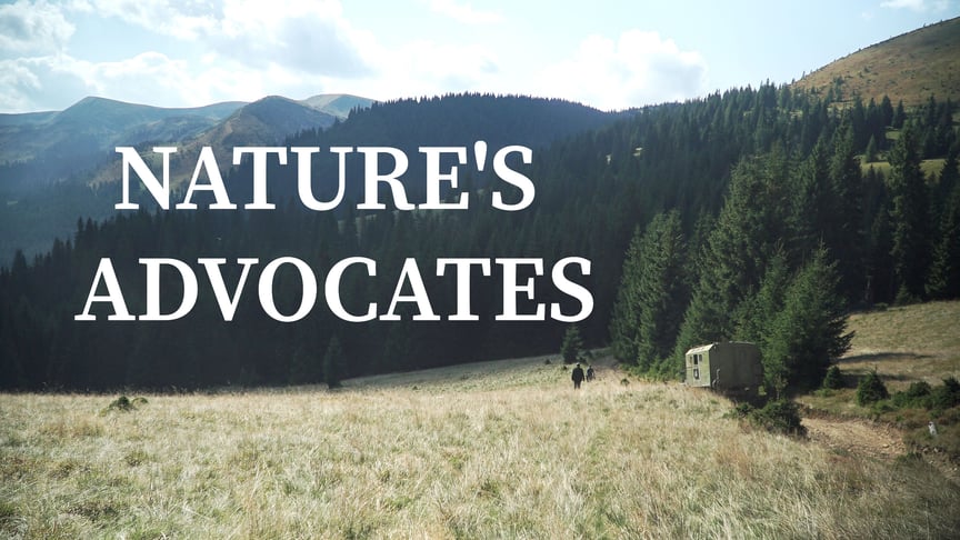 Economics vs. Environment: Will an Expensive Ski Resort Be Built in Ukraine's Pristine Carpathians?