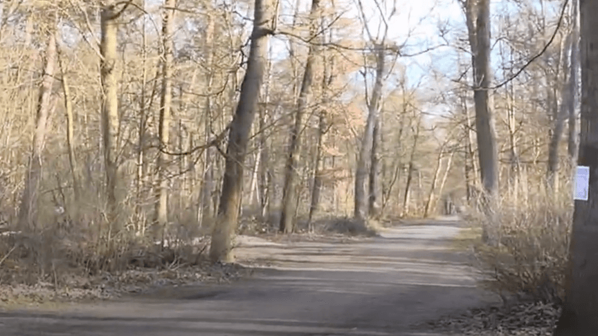 Місце поблизу місця виявлення тіла українки