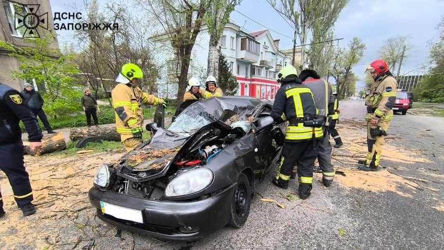 Автівка, на яку впало дерево