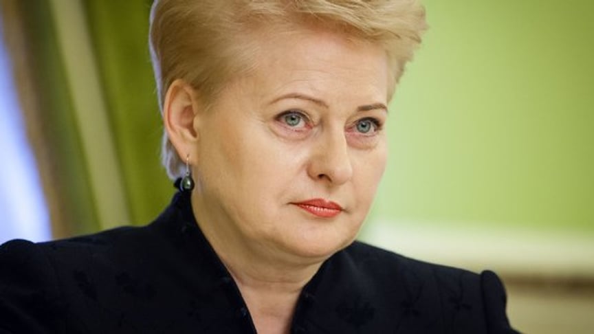 'Cooperation With Ukraine Is Necessary Due To Geopolitical Challenges' — Lithuanian President