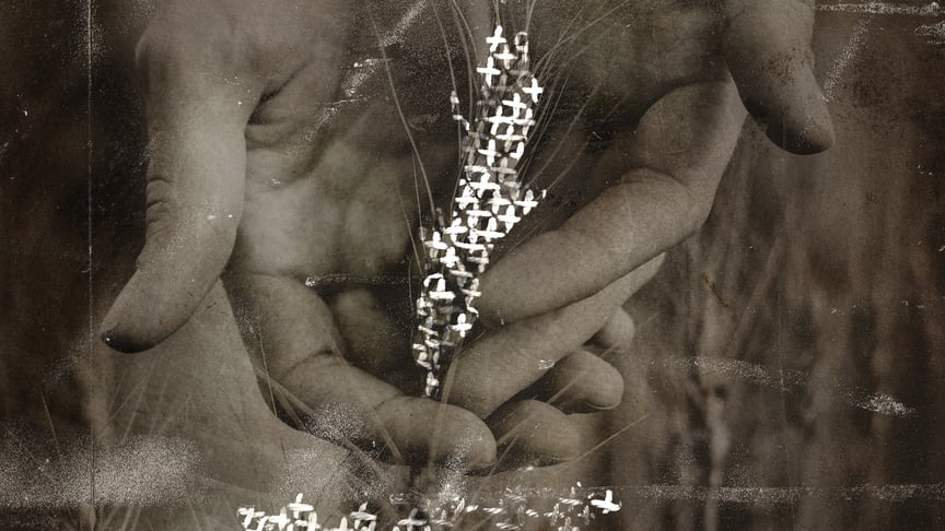 Мамо, дайте хлібчика: три голоди баби Ганни