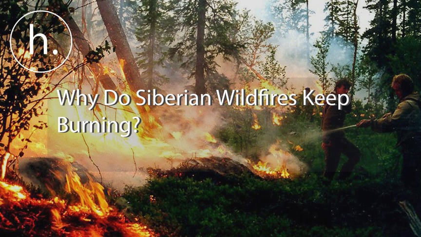 A wildfire in a forest in Russia's Krasnoyarsk region, Siberia, on August 1, 2019.