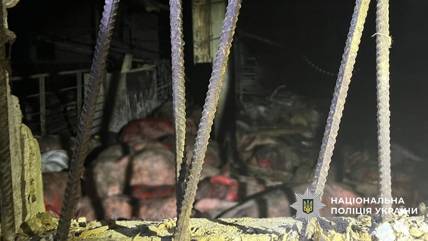 Свині, які загинули внаслідок російської атаки на Чернігівський район