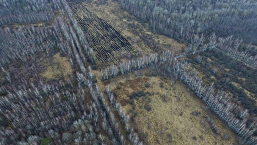 Пожар на Полесье 