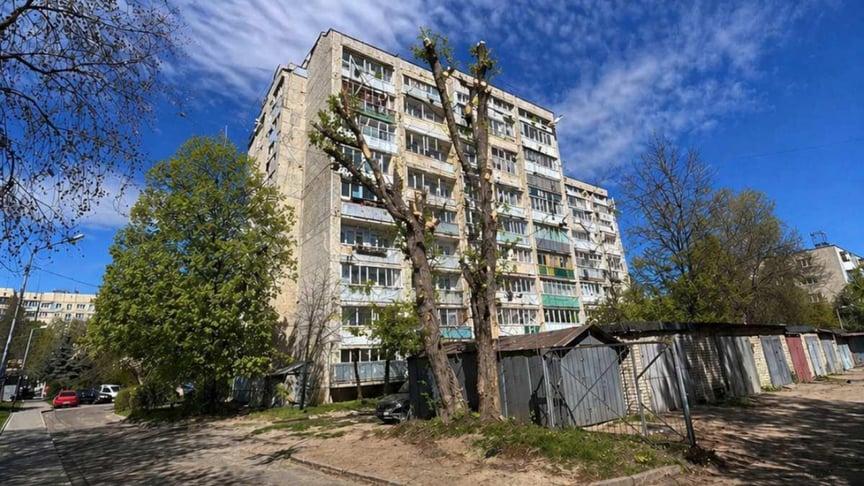 Велике дерево на фоні будинку, на якому всі гілки обрізали