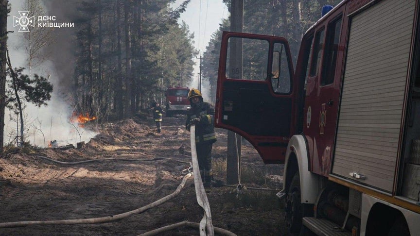 Лісова пожежа в Зоні відчуження