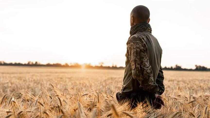 Ukrainian serviceman in a wheat field. Illustrative photo