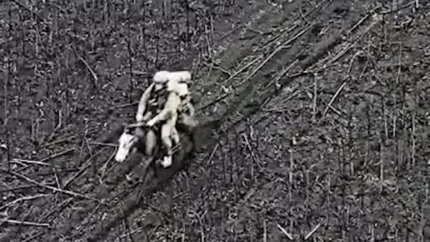 Оккупанты начали ходить в штурмы на лошадях — 92 ОШБр зафиксировала «кавалерию» (ВИДЕО)