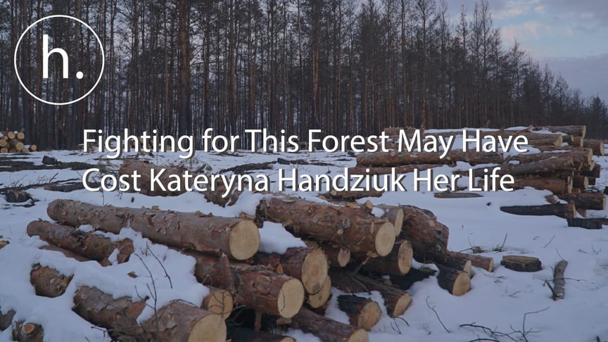 Fire and Acid: Fighting for This Forest May Have Cost Kateryna Handziuk Her Life
