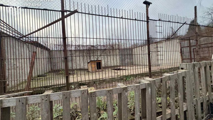 Вольєр, звідки втекли левиці