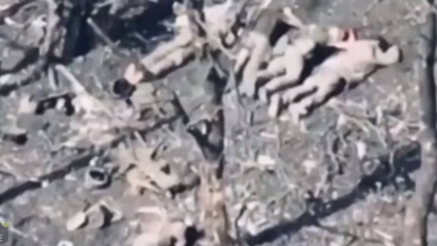 Розстріл українських військовополонених