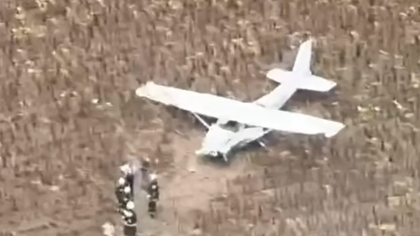 Викрадений літак Cessna 172 після посадки на соняшниковому полі