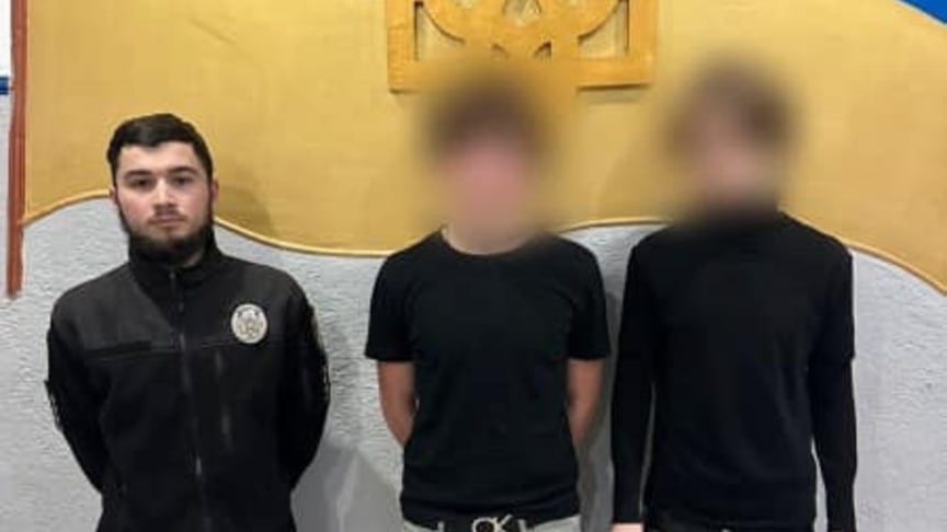 Підлітки, які причетні до публікації про зґвалтування кота