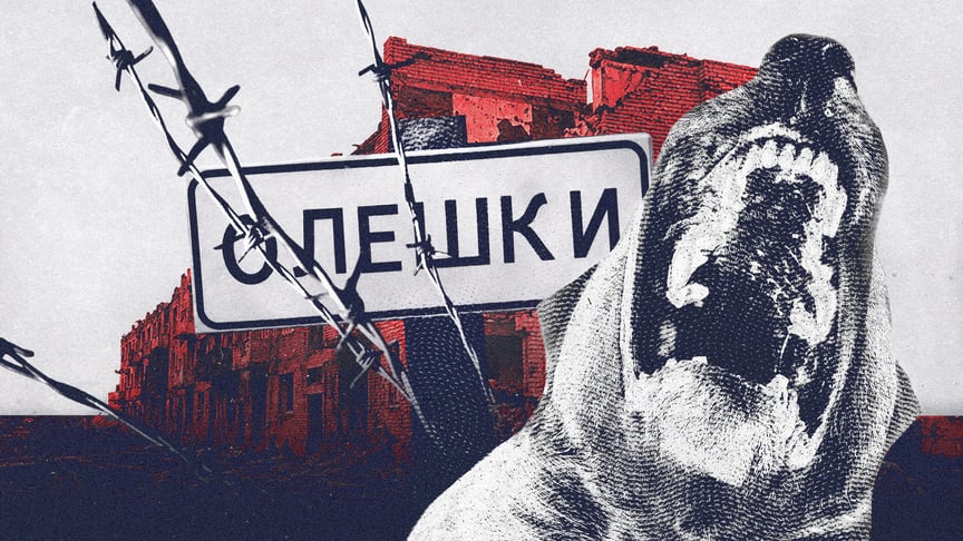 «Труять собак, щоб ті не мучилися»: як виживають окуповані Олешки, куди з травня не завозять їжу