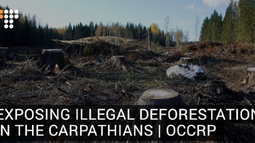  The OCCRP's 'Clear Cut Crimes'- Exposing Illegal Deforestation In The Carpathians