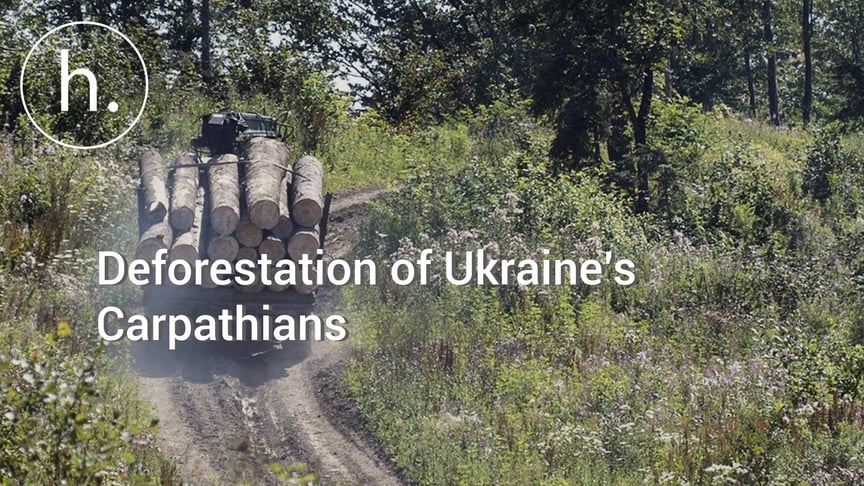 Deforestation of Ukraine’s Carpathians: Where Do We Go From Here?