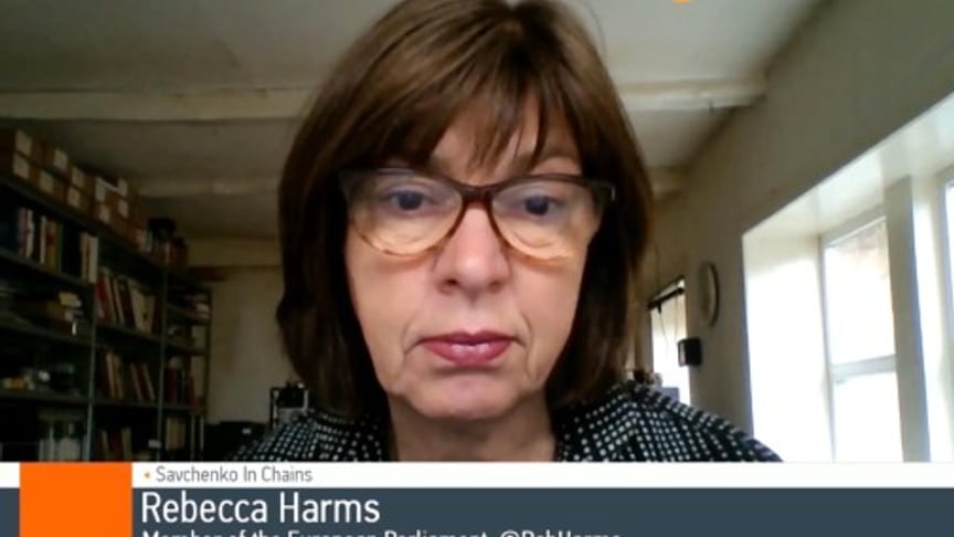 'Savchenko Should Be Free, If Russia Is Serious About Ceasefire' – Rebecca Harms