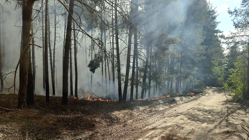 Лісова пожежа в Ізюмському районі на Харківщині